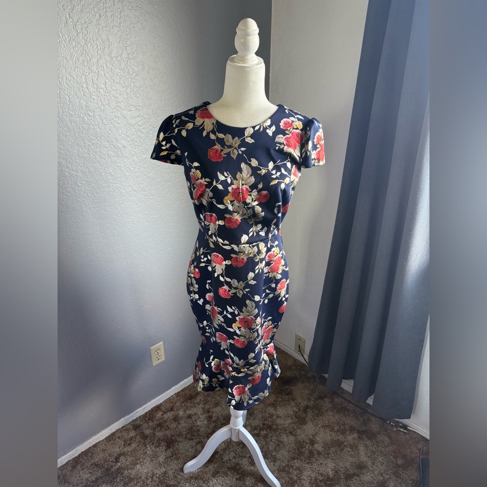 Alex B. Nites *RARE* gorgeous floral dress Size 10 Petite